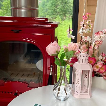 Vagona Tiny House 호텔 리제 외부 사진